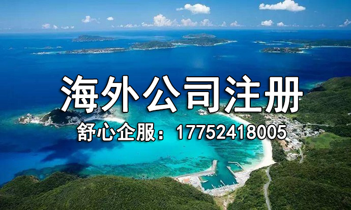 海外公司資質(zhì)